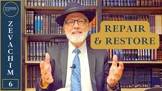 How To CURE Suffering | Daf Yomi ZEVACHIM 6 Matmonim by Rabbi Lapin