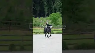 The hidden side of Eventing- TW HORSE ABUSE #eventing  #subscribe #equestrain #blowup