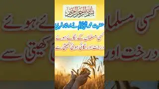 islamic wazifa l wazaif l wazifa l namaz wazaif l hakayat e islam l daily wazifa l dua l daily dua