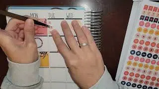 Plan With Me TPC Planner