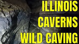 Illinois Caverns State Natural Area | Southern Illinois