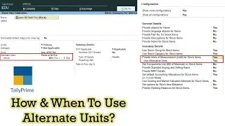 How To Use Alternate Units in Tally Prime Tutorial - Lesson 18