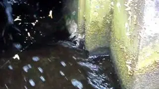 St. Pancras Lock