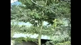 良き懐かしい時代　ドリフト②