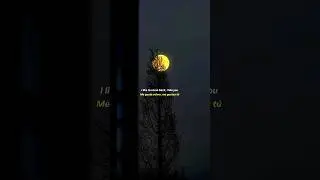 Me Gustas Tu - Manu Chao | lyrics | aesthetic | whatsapp Status | English #lyrics