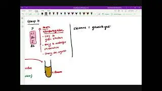 Chapter 1 Redox | Displacement of halogen