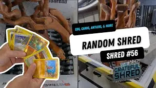 Random Item Shred | Pokemon Cards, Antlers, Phones & More SHREDDED