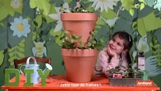 Comment construire une tour de fraises ? #DIY