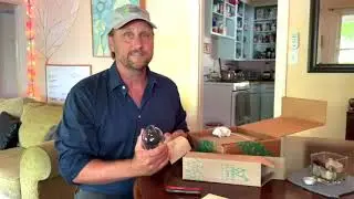 Our Review of Zero-Waste, Eco-Friendly Green Llama Cleaners