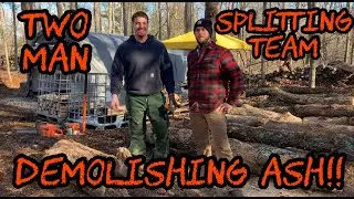 #53 Two Man Firewood Splitting Team Demolishing Ready to Burn Ash