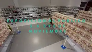 X CONCURSO ORNITOLOGICO CIUDAD DE CHIPIONA 2022