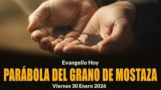 Reflexión Evangelio de Hoy 30 de Enero 2026  - Marcos 4,26-34