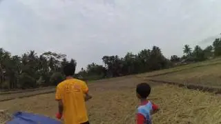 Kekep babi free fly attack swallow