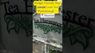 Tea Harvester Resort Munnar|Best budget Friendly Stay in Munnar
