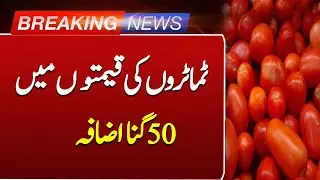 Tomato Prices Skyrocket 50 Times! | Shocking Price Surge | Breaking News | Such News