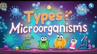 Types of Microorganisms | Bacteria, Viruses, Fungi, Protozoa, Algae & Archaea Explained
