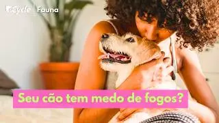 Fogos Assustam C&atilde;es: Como Proteger Seu Pet