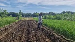 SMART GARDENING HACK: MAKING RAISED BEDS WITH SIMPLE TOOLS - Agriculture Farming