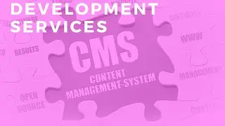 CMS Web Development Services