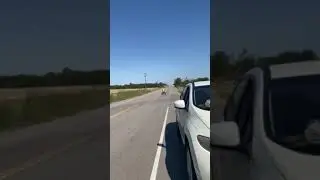 Lil Zilla Suzuki lt250r running 73mph !!!