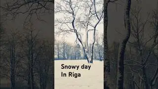 Snow fall on a Sunday in Riga #travel #rigalatvia #riga #europe #latvia #winter