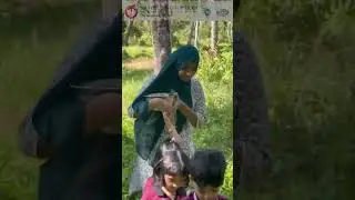 Our Montessori learners exploring nature through curiosity and wonder🍃#Music:Musician:VN VideoEditor