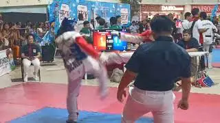 Batang pinoy 2025 taekwondo bacolod vs cavite province