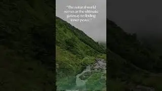 The nature world serves as the ultimate gateway to finding inner peace. #motivation#goals #mindset
