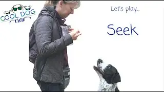 Seek Game: 3 Dogs, 3 Styles | Confidence, Fun & Connection at Home!