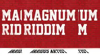 Magnum Riddim ~ Zoelah, Patrice Roberts, Preedy, Shal Marshall & Problem Child