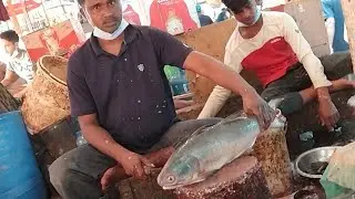 Big Rawas Fish Cutting - Fish Cutting Skills | Fish Cutter Beshnu