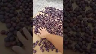Erik Kurutma Nasıl Yapılır? #shorts