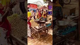 Street stall selling roasted peanuts at the Pushkar Camel Festival, India.