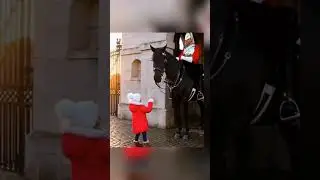 #Guard #The horse#Gratitude#Little girl#Pet knowledge