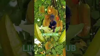 #funny #asmr #trending #viral