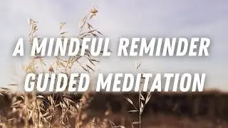 A Mindful Reminder Guided meditation | Changing Your Mindset With James