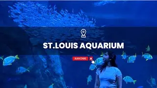 A Day at St. Louis Aquarium | Mesmerizing Marine Life & Fun Activities | Pranavi Tumati
