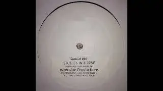 Chris Brann  -  Studies In Form Track Three