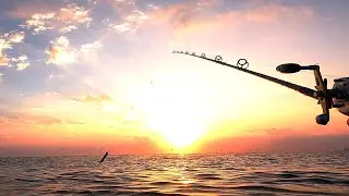 Bluefish on the ATOM POPPER - Atomic Sunset Topwater Blue Fishing