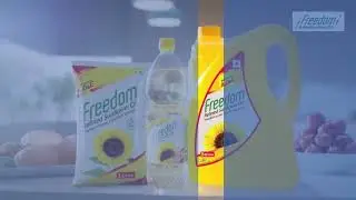 Gemini Edibles & Fats India Limited (GEF India) success story | Bizom