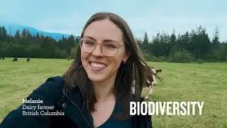 Уникальные фермы. Уникальные планы экологически чистых ферм.