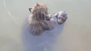 MG! Break My Heart To See Bree Drown! Mom Breen Swim So Long Time & Nearly Die Drown