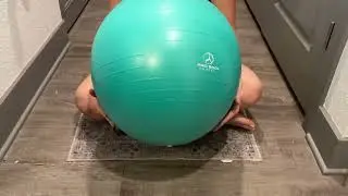 ProBody Pilates Exercise Ball for Fitness, Yoga, Workout, Pregnancy & Physical Therapy Review
