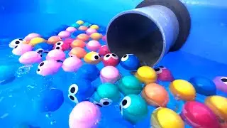 1000 Wooden Balls 🌟 Water Sound ASMR + Compilation of Healing ASMR