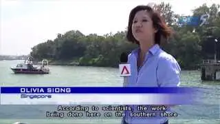 New marine species discovered in Singapore - 27May2013