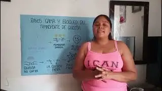 Exposici&oacute;n rayos gama y bloqueo del transporte de glucosa, tarea 6