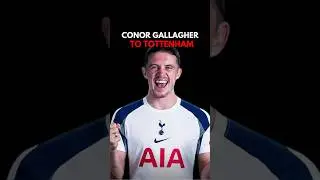 HERE WE GO 🚨Conor Gallagher signs for Tottenham Hotspur 🤍Does he elevate Spurs&rsquo; midfield