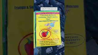 Prevent wormy apples on your trees without using pesticides. Here is how &hellip;