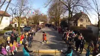Umzug Oberdischingen 2014
