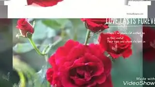 Chand Kya Cheez Hai Woh Chand Se Aala hoga Naat Qari Muhammad Zubair Meerut (18)-(12)-(2018)-دسمبر